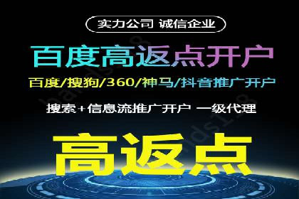成功SEM托管案例：流量与转化双赢