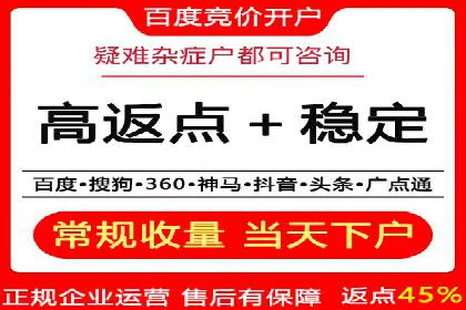 SEO与百度广告的结合：双管齐下的推广案例